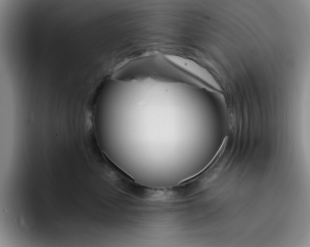 X0000096170621200802151436