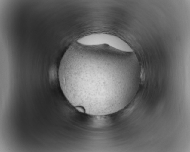 X0000096170623200802151436