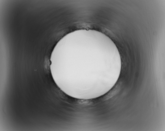 X0000096170624200802151436