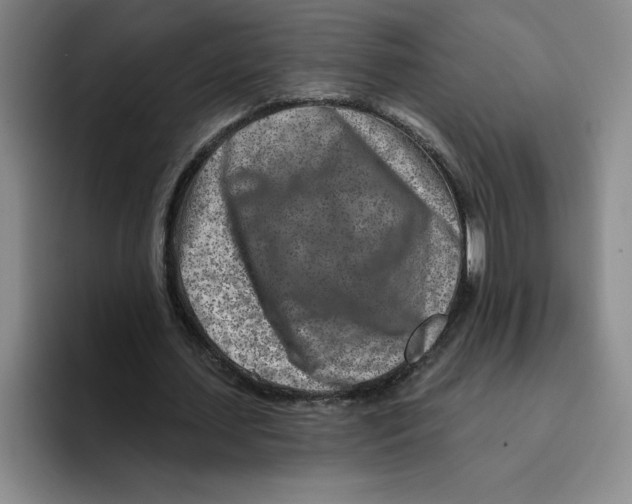 X0000096170627200802151435