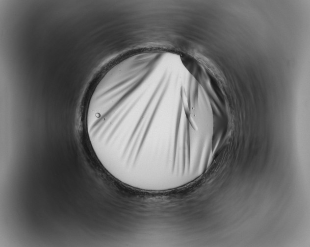 X0000096170628200802151435
