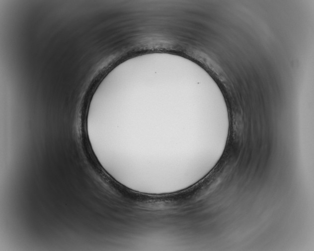 X0000096170629200802151435
