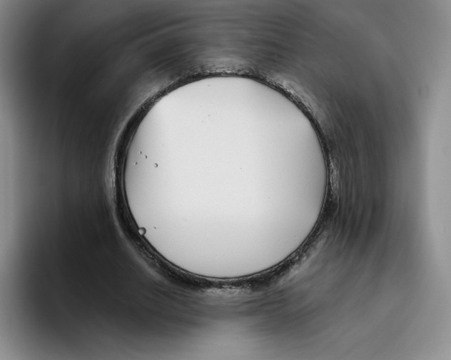 X0000096170630200802151435