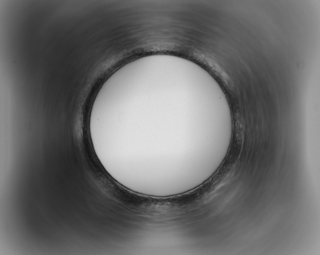 X0000096170631200802151435
