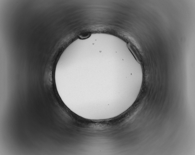 X0000096170633200802151435