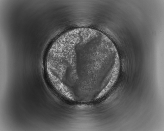 X0000096170634200802151435