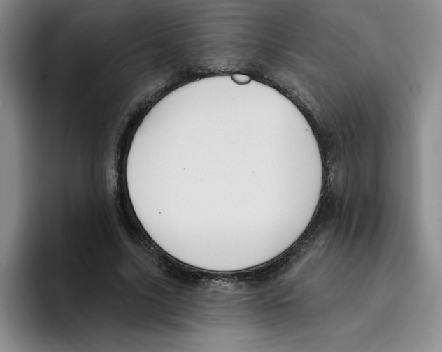 X0000096170635200802151435