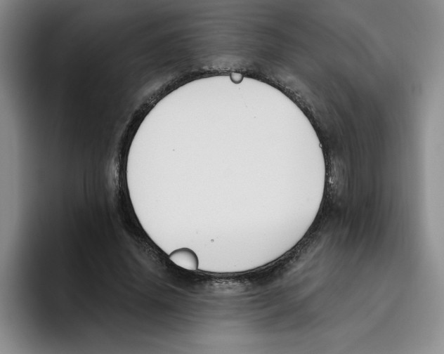 X0000096170636200802151435