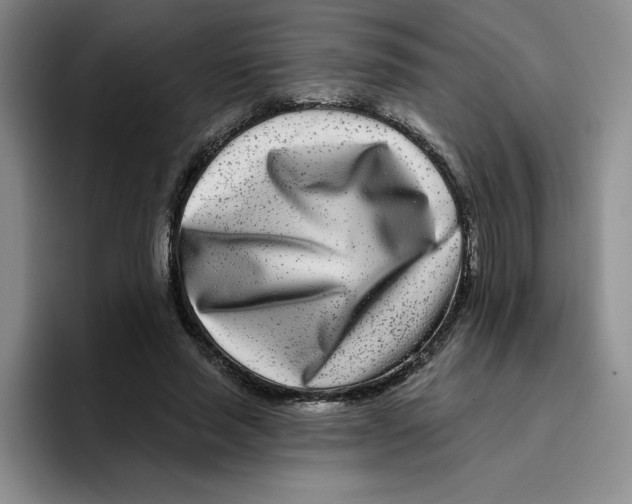 X0000096170637200802151435
