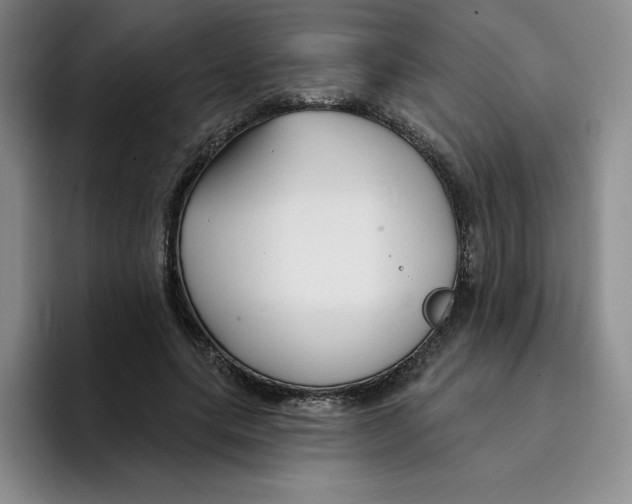 X0000096170639200802151435