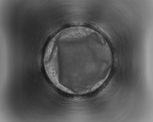 X0000096170641200802151435