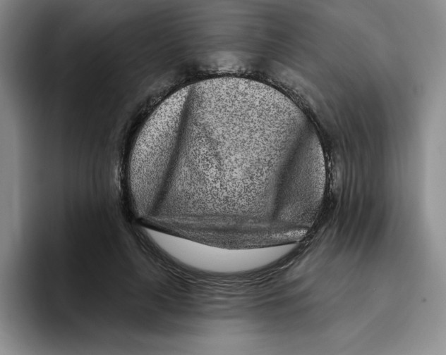 X0000096170643200802151435