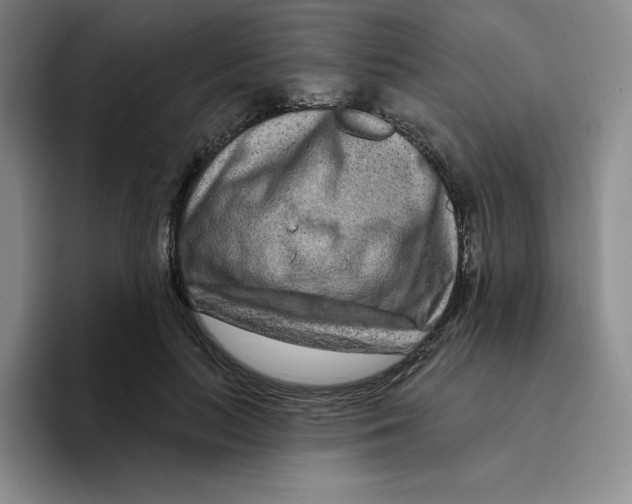 X0000096170647200802151435