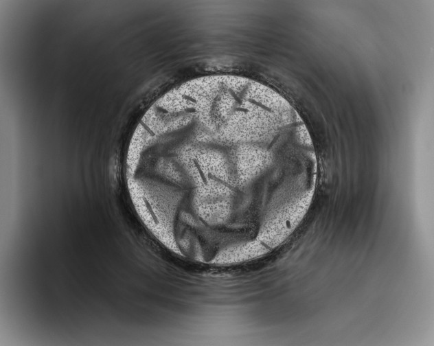 X0000096170648200802151435