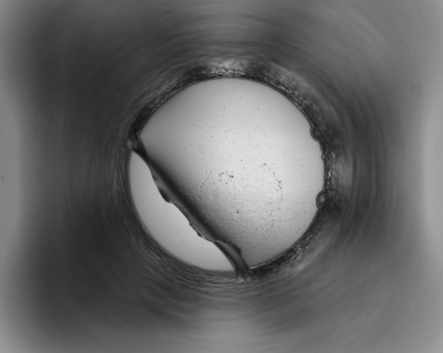 X0000096170649200802151435
