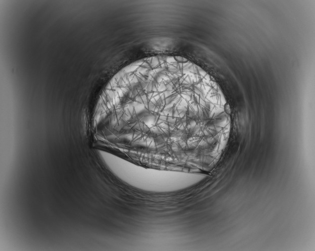 X0000096170651200802151436