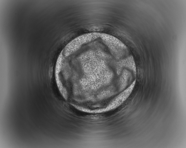 X0000096170652200802151436