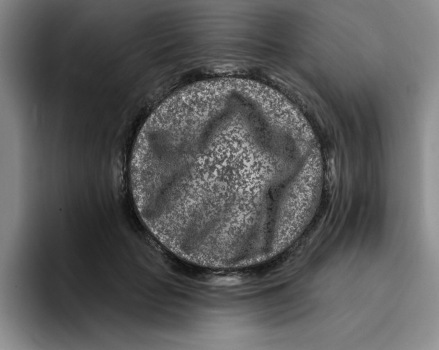 X0000096170653200802151436