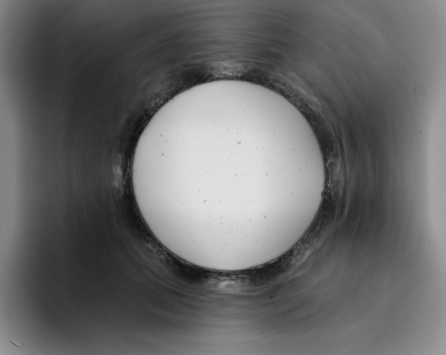 X0000096170655200802151436