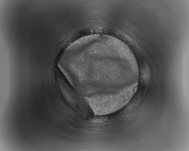 X0000096170661200802151436