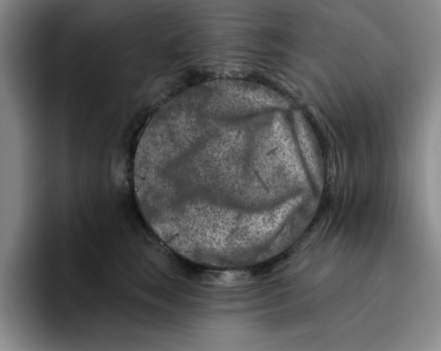 X0000096170663200802151436