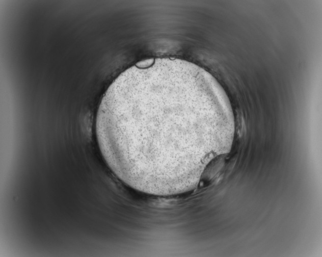 X0000096170664200802151436