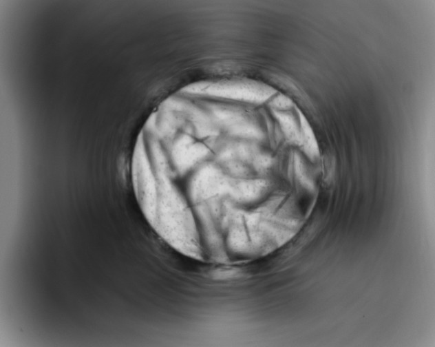 X0000096170669200802151436