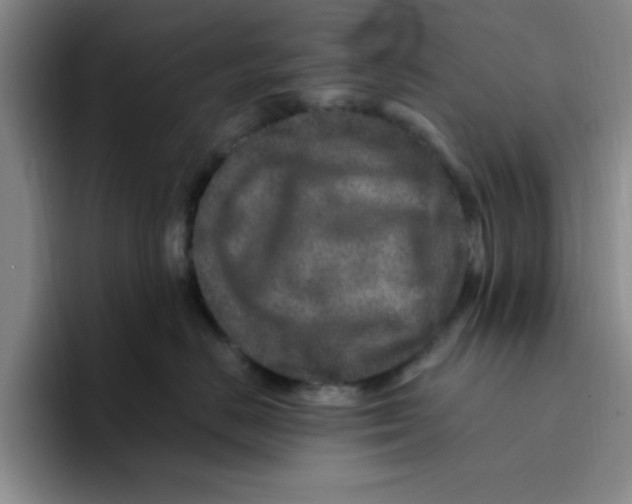 X0000096170670200802151436