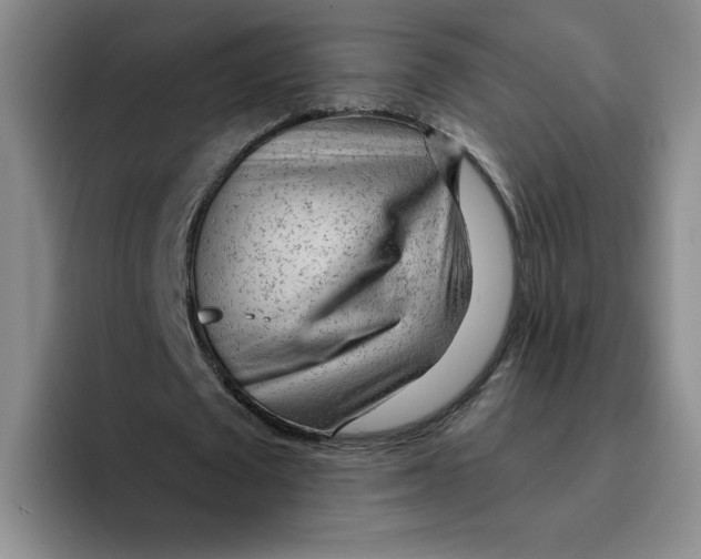 X0000096170673200802151435