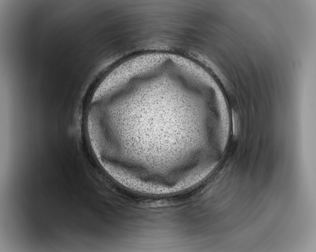X0000096170675200802151435