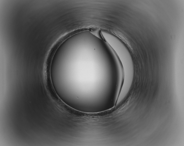 X0000096170676200802151435