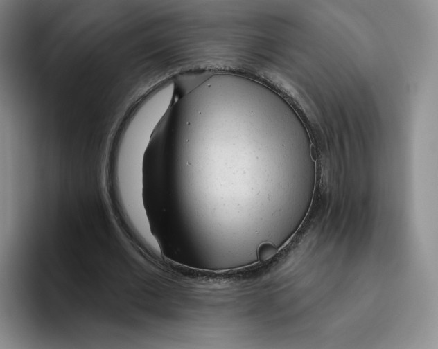 X0000096170677200802151435