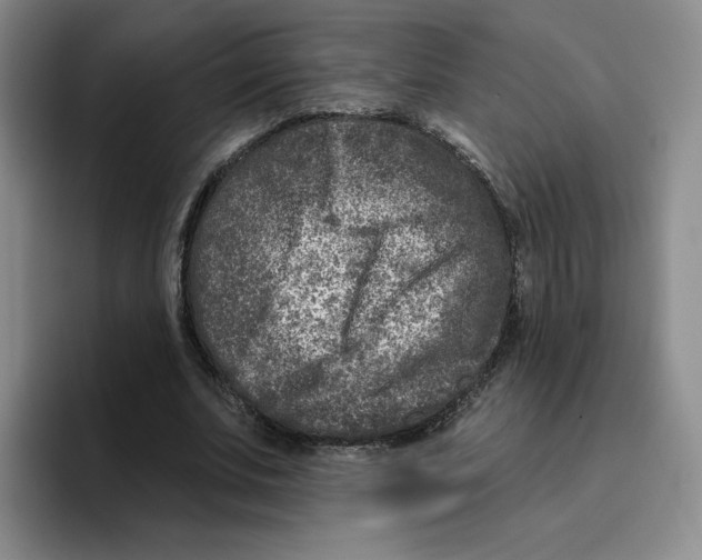 X0000096170679200802151435