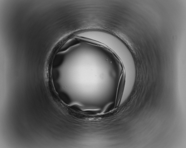 X0000096170680200802151435