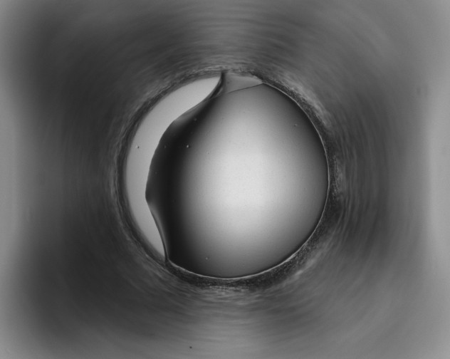 X0000096170681200802151435