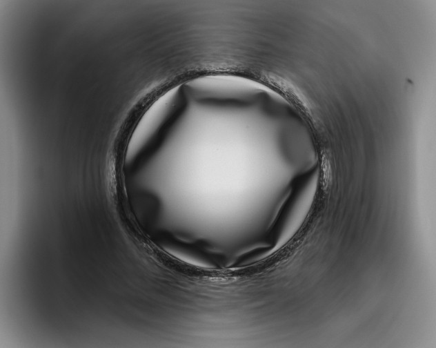 X0000096170684200802151435