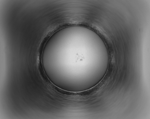 X0000096170685200802151435
