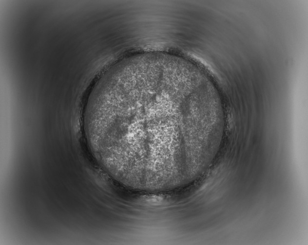 X0000096170687200802151435