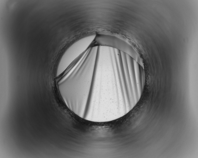 X0000096170689200802151435