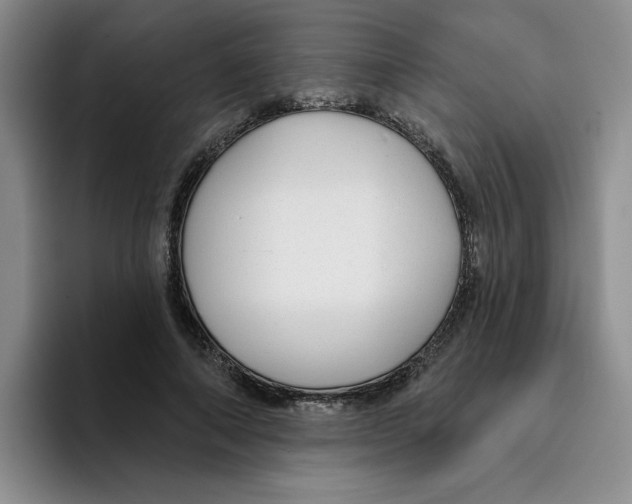 X0000096170690200802151435