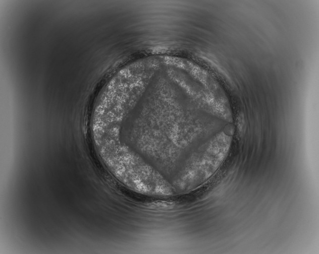 X0000096170691200802151435