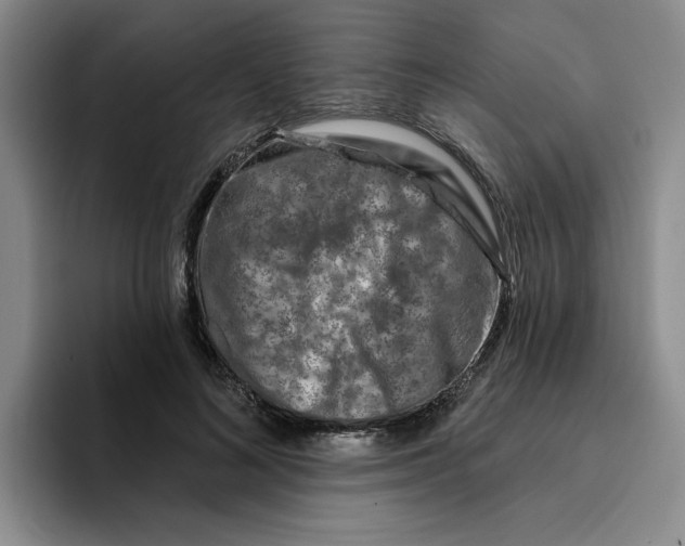 X0000096170692200802151435