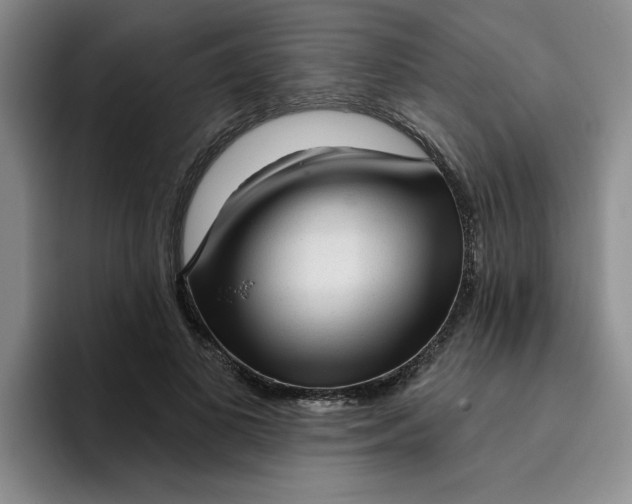 X0000096170693200802151435
