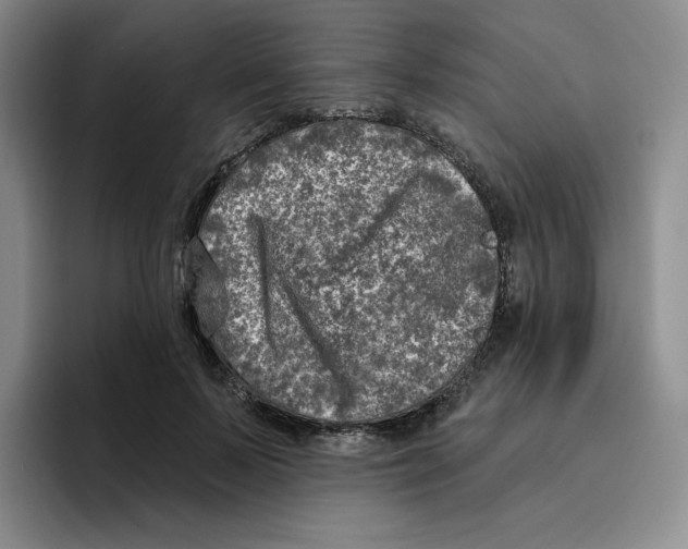 X0000096170695200802151435