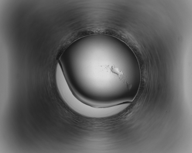 X0000096170697200802151435