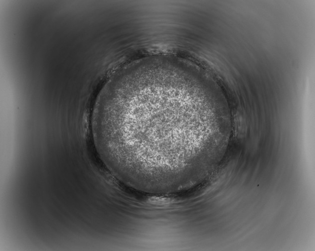 X0000096170699200802151435