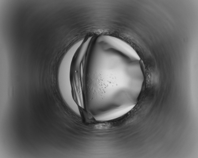 X0000096170700200802151435