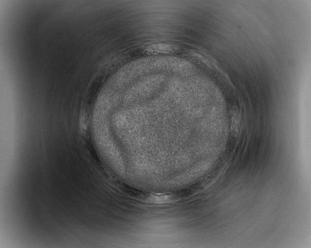 X0000096170701200802151435