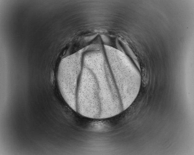 X0000096170704200802151435