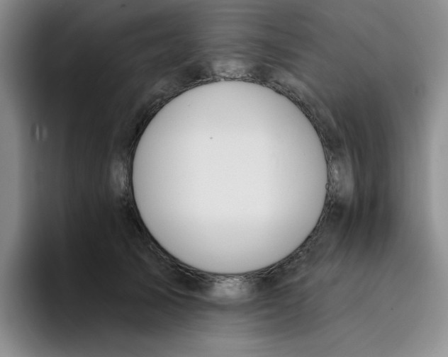 X0000096170705200802151435